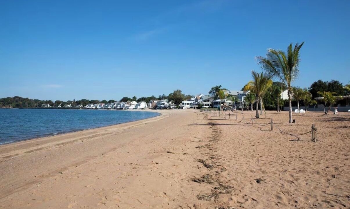 Photo of Others in East Shore