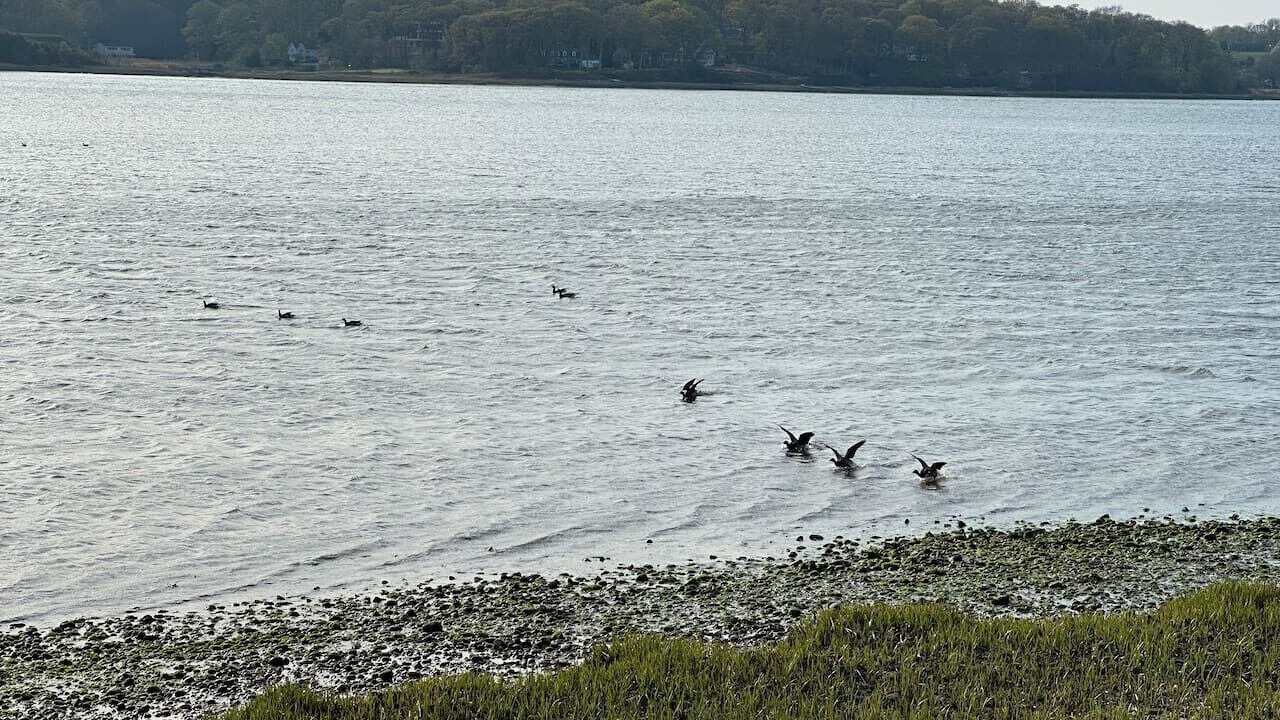 Photo of Others in Head of the Harbor