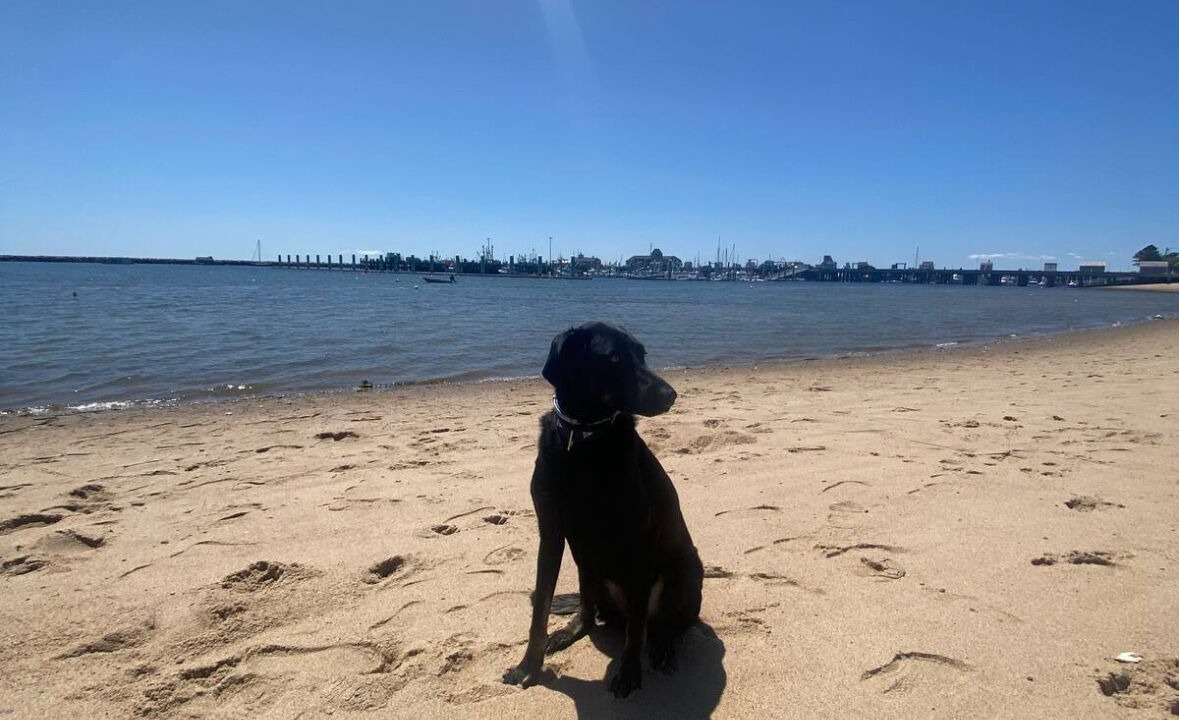 Photo of Others in Provincetown
