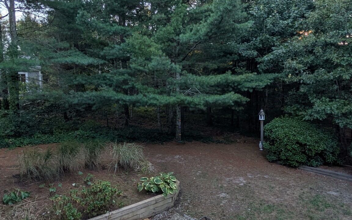 Photo of Outdoor in Cotuit