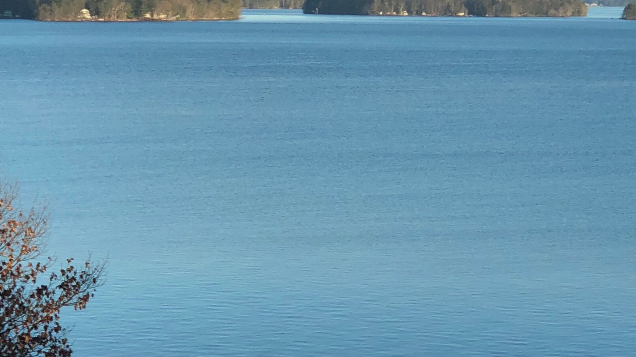 Photo of Others in Gilford