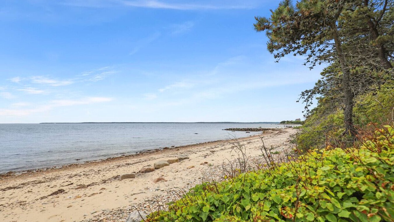 Photo of Others in Woods Hole