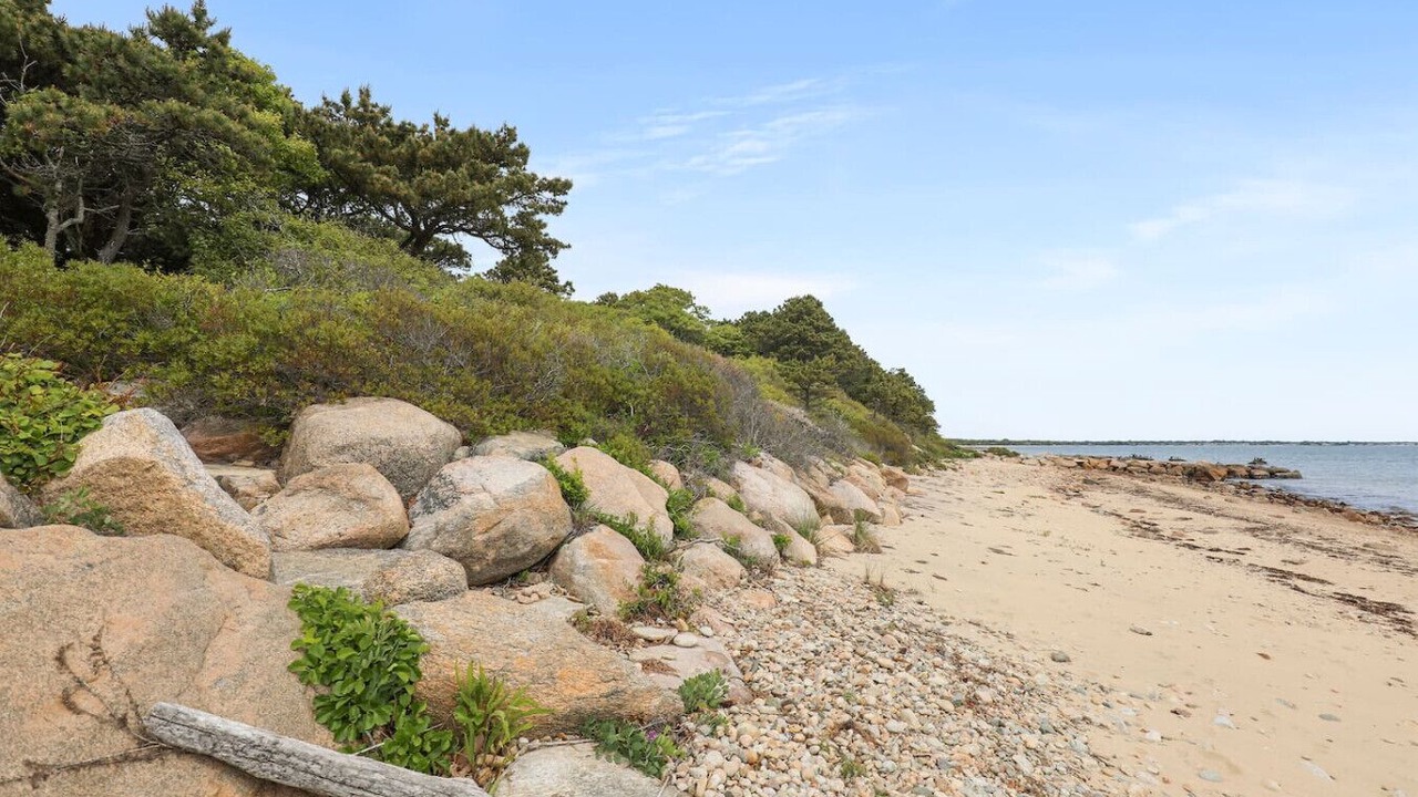 Photo of Others in Woods Hole
