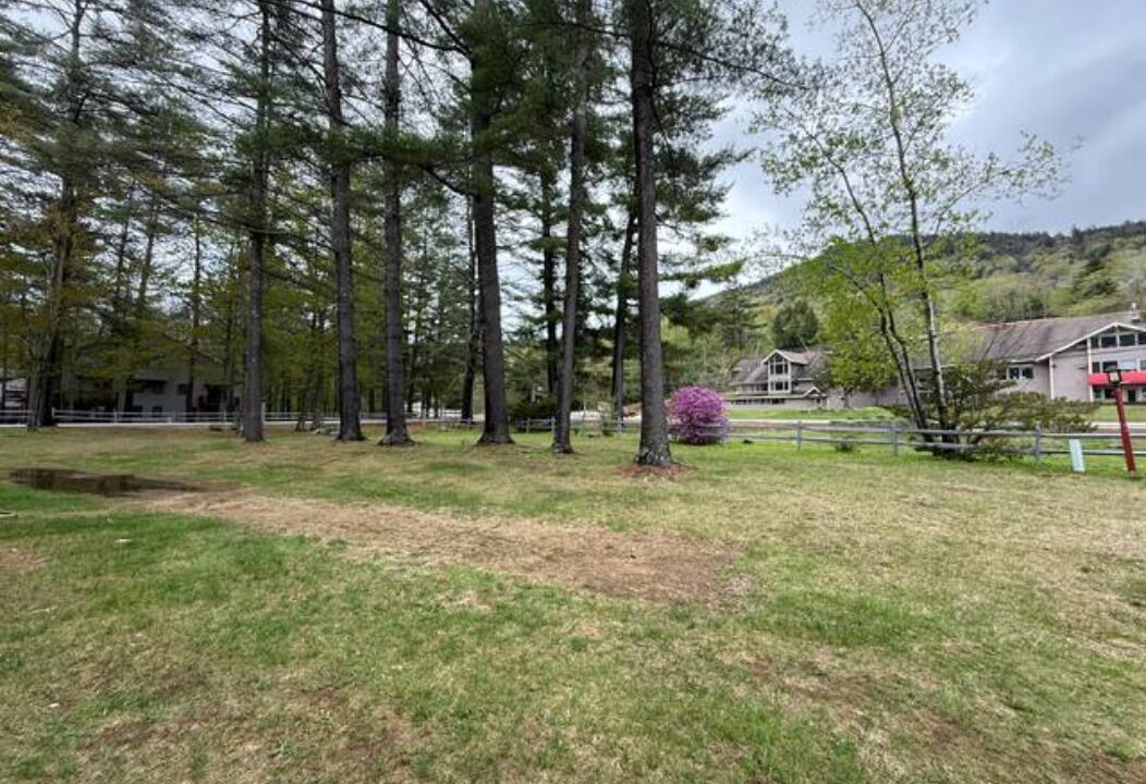 Photo of Others in Bartlett