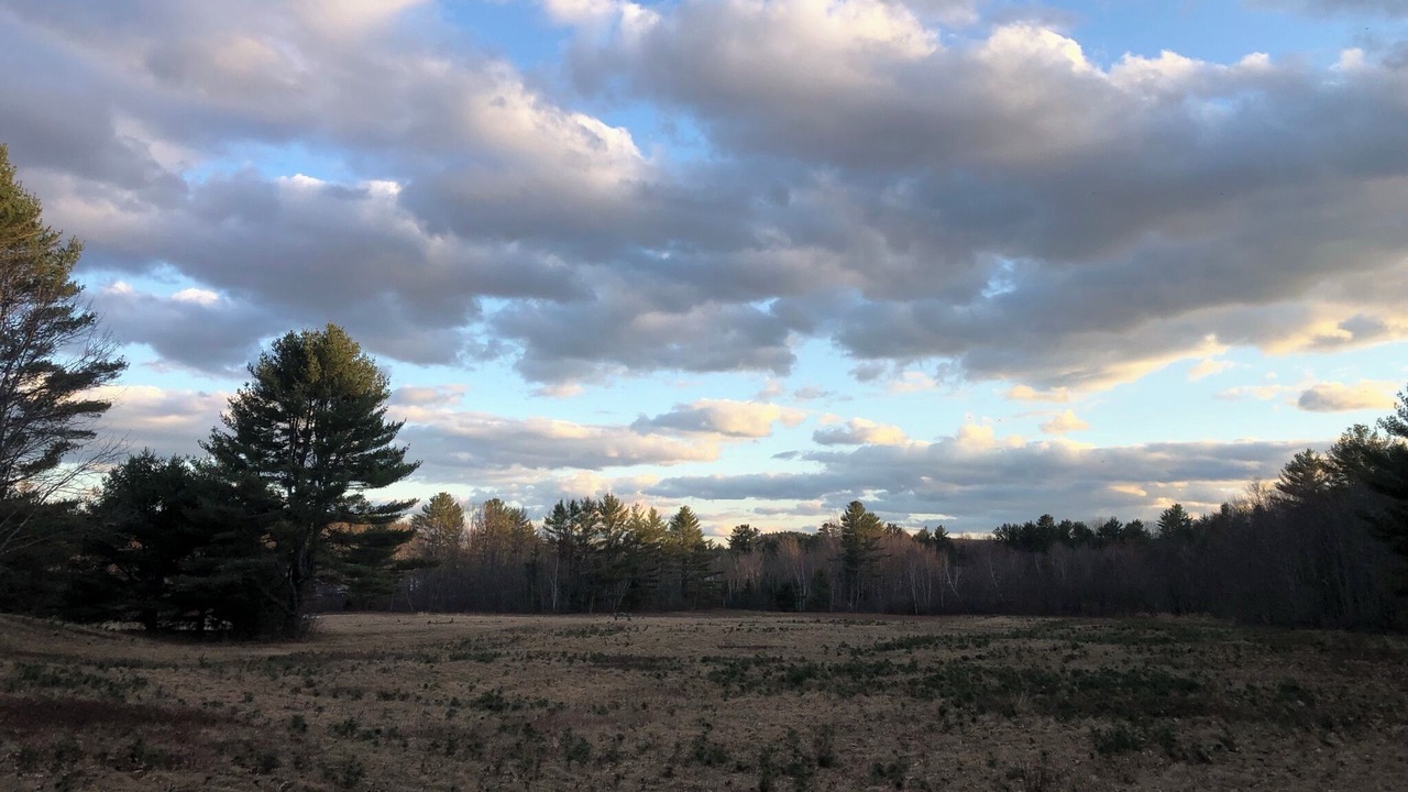 Photo of Others in Bryant Pond