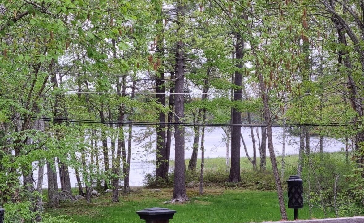 Photo of Outdoor in Falmouth
