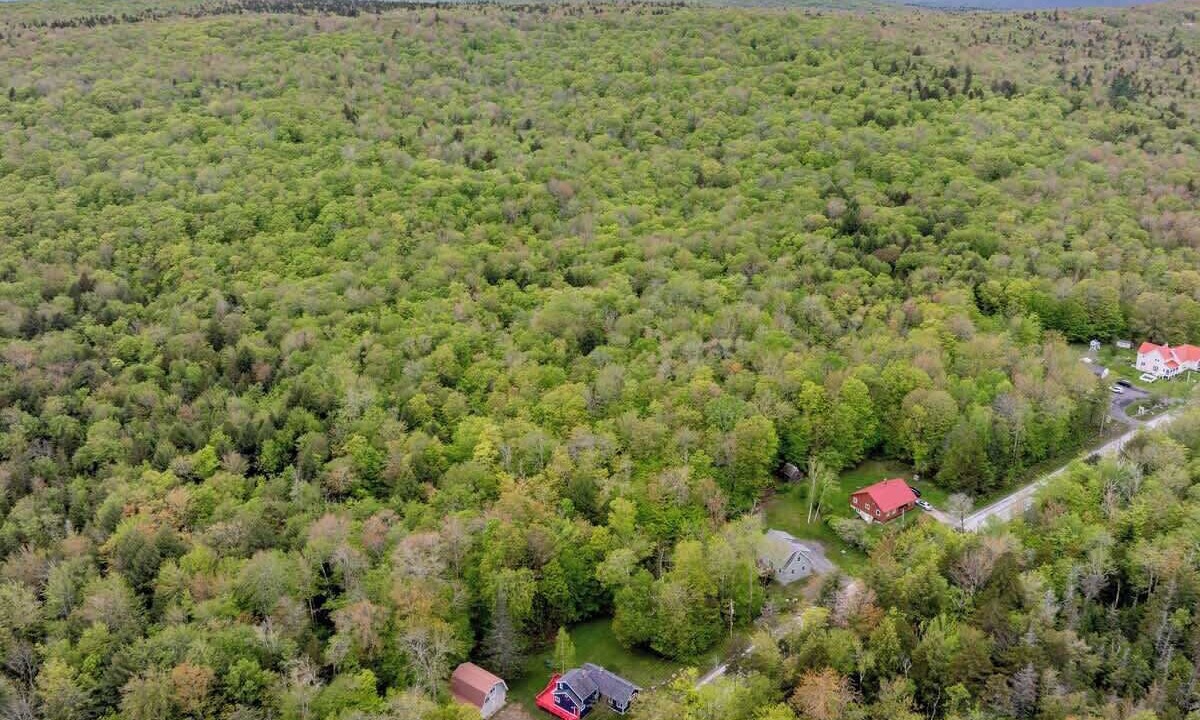 Photo of Outdoor in Stratton