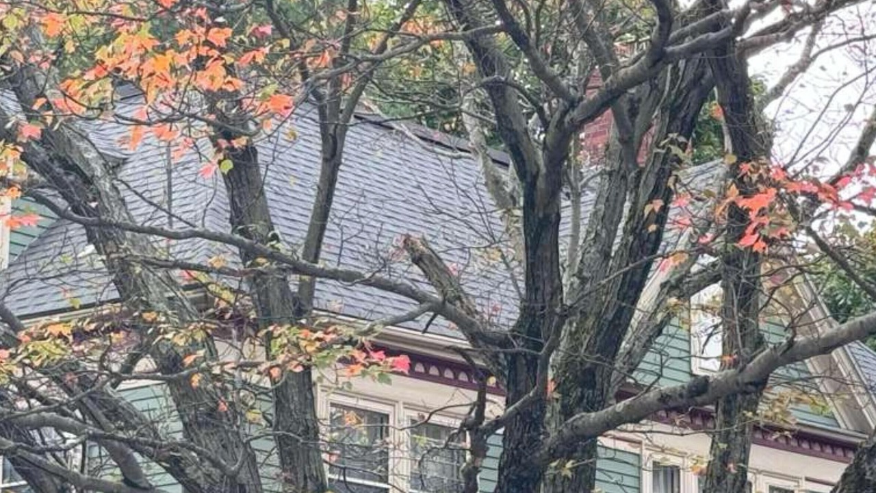 Photo of Others in Mid-Cambridge