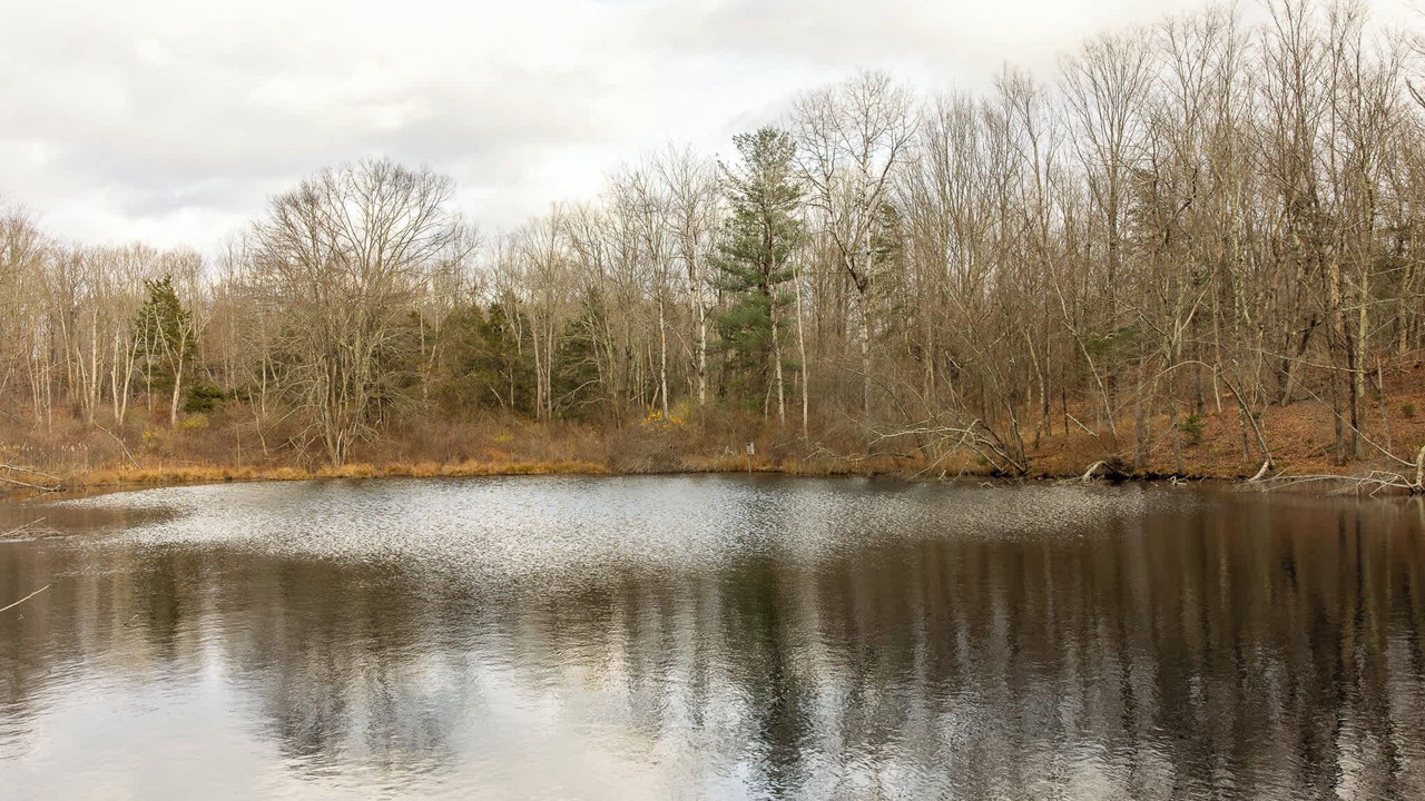 Photo of Others in Clinton Corners