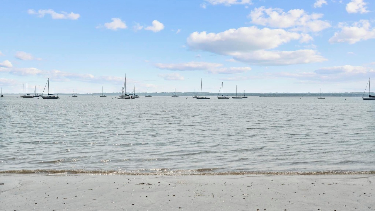Photo of Others in East Shore