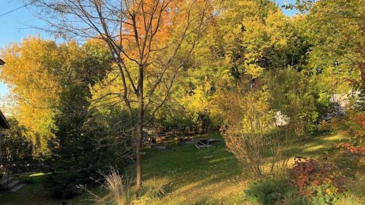 Photo of Outdoor in Adams