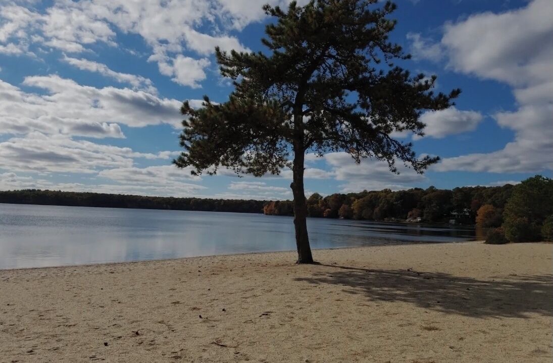 Photo of Others in Mashpee