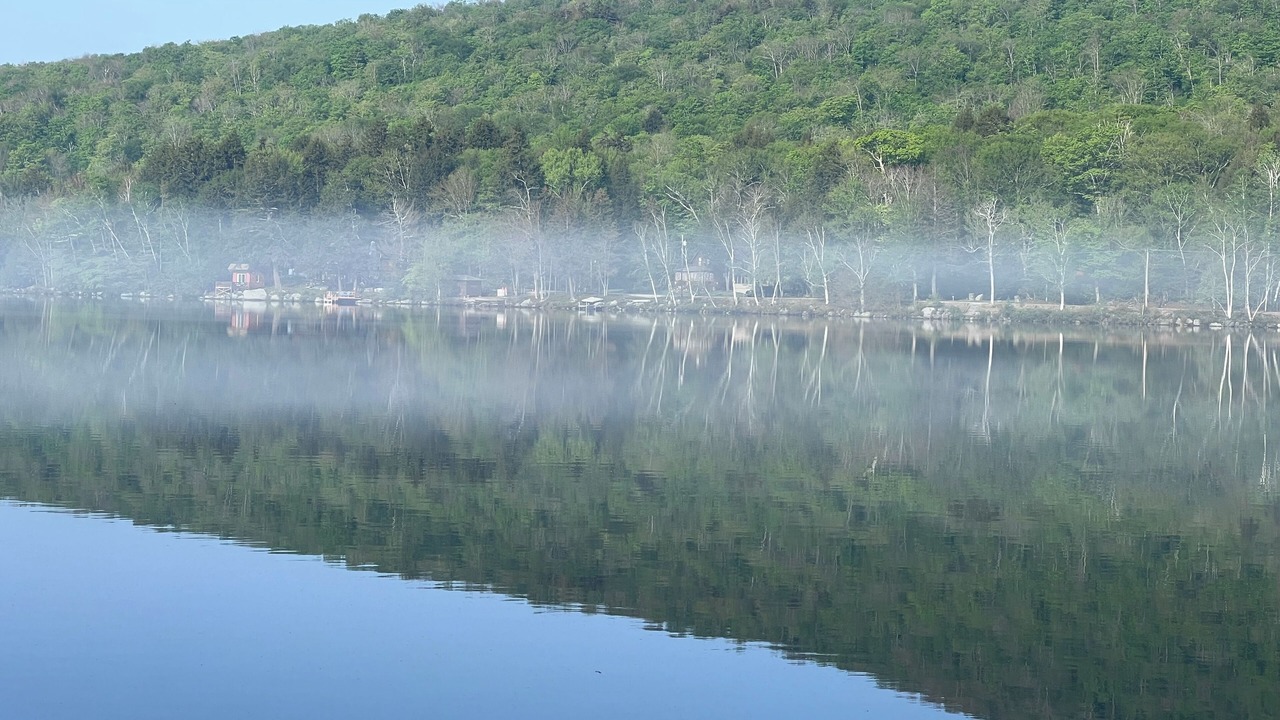 Photo of Others in Rumney
