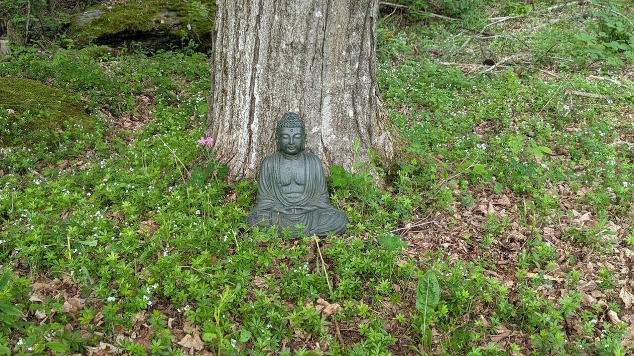 Photo of Outdoor in Margaretville