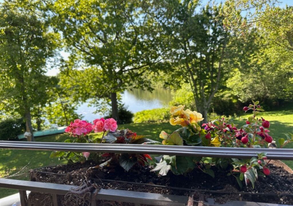 Photo of Outdoor in East Patchogue