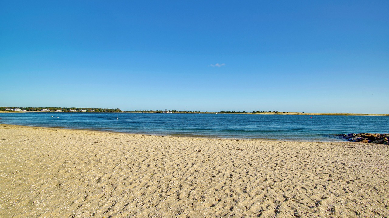Photo of Others in Cotuit