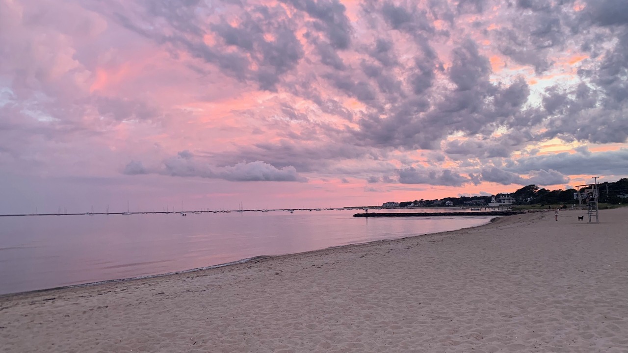 Photo of Others in Hyannis