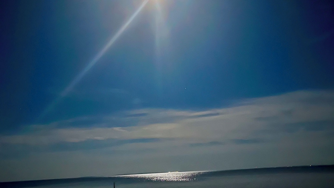 Photo of Others in Old Lyme
