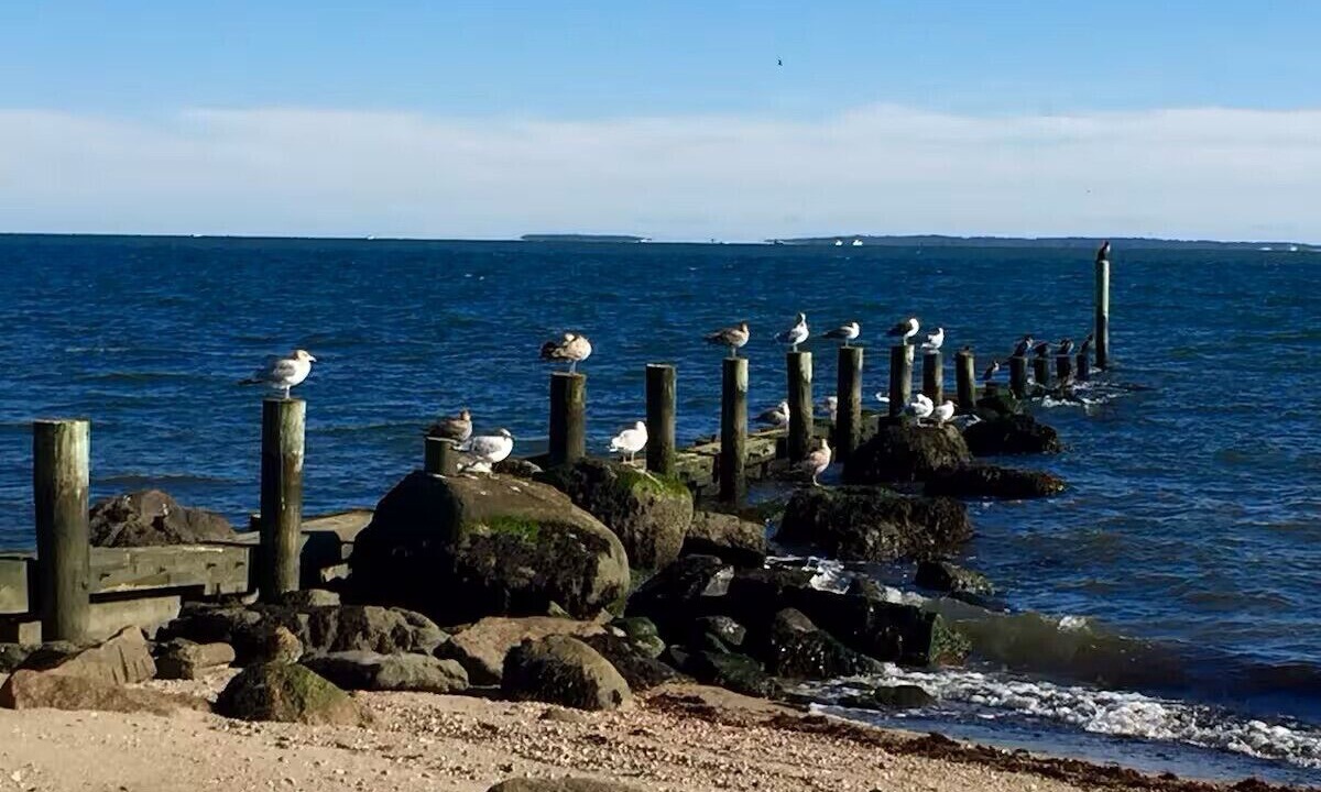 Photo of Others in Old Lyme