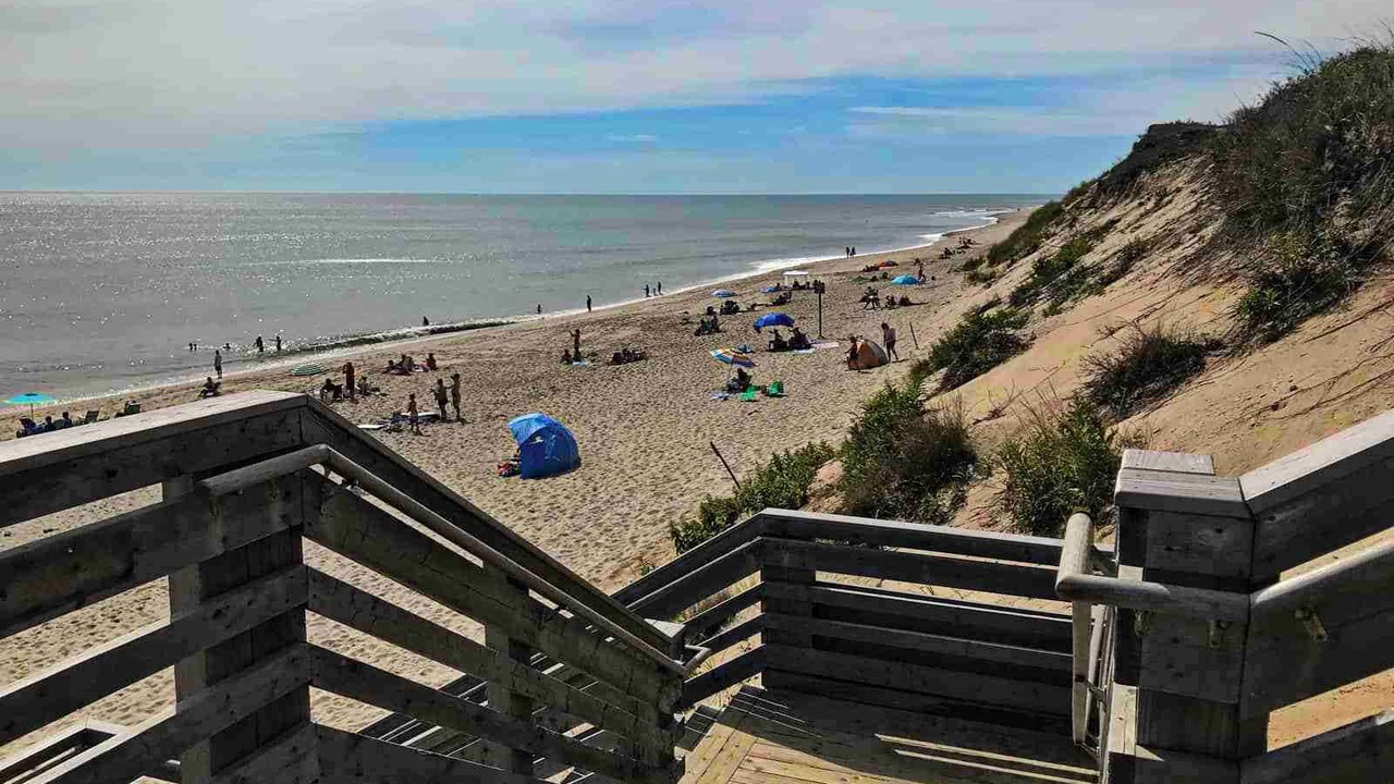 Photo of Others in Wellfleet
