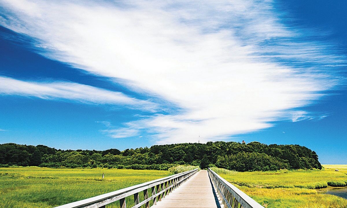 Photo of Others in Wellfleet