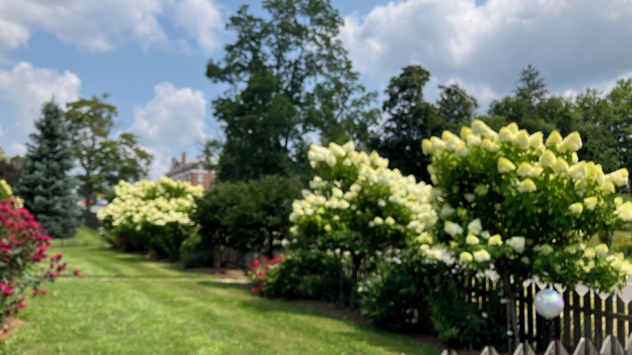 Photo of Outdoor in Lenox