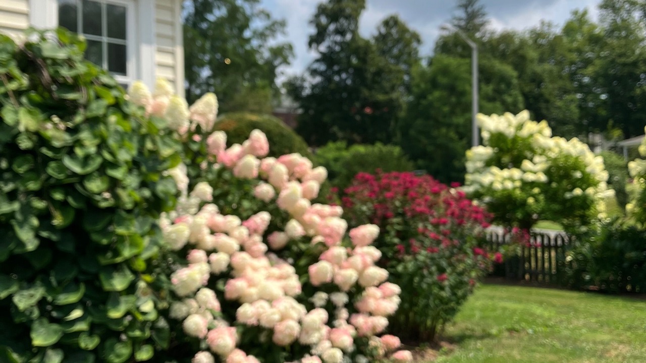Photo of Outdoor in Lenox