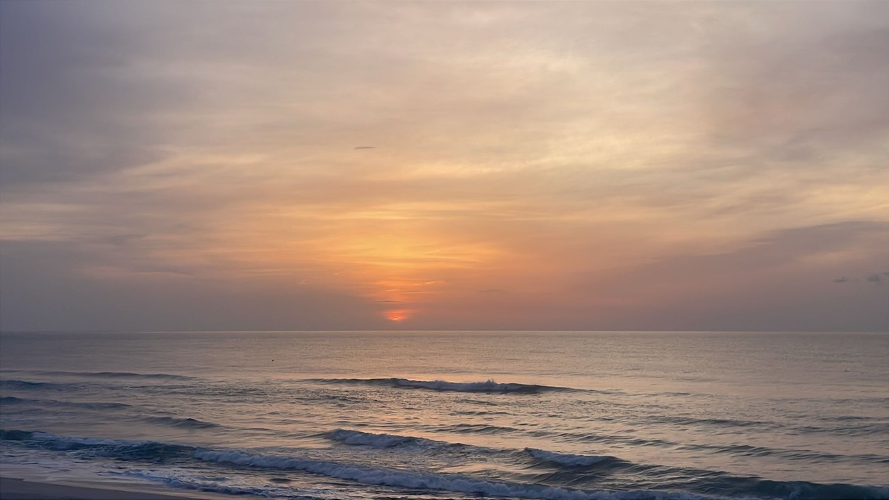 Photo of Others in Normandy Beach