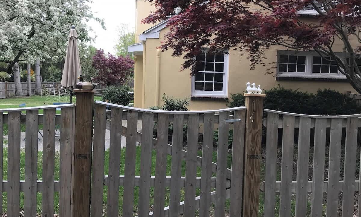 Photo of Outdoor in Concord