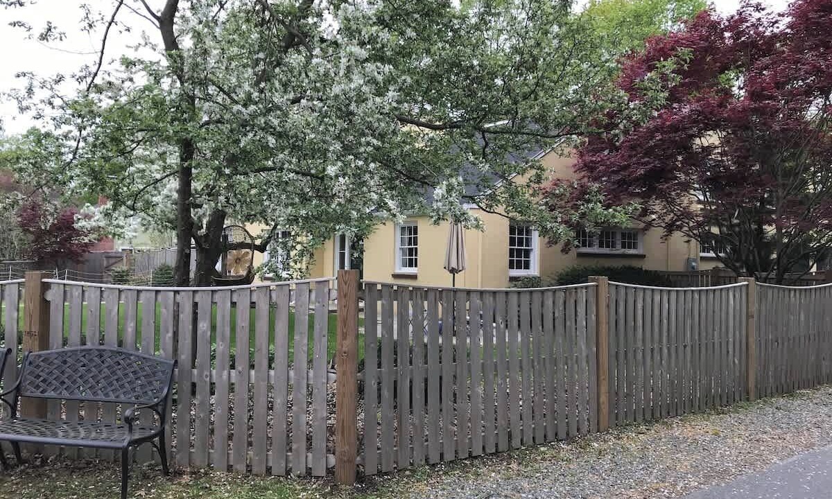 Photo of Outdoor in Concord