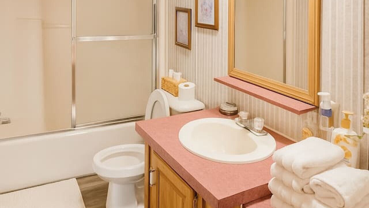 Photo of Bathroom in Swan Lake