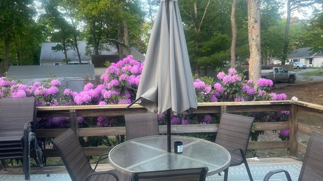 Photo of Outdoor in Cotuit