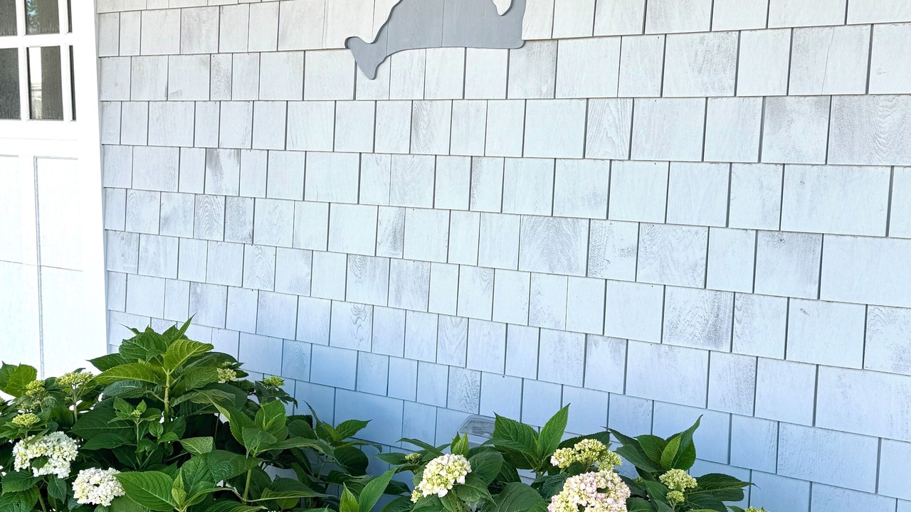 Photo of Outdoor in Tisbury