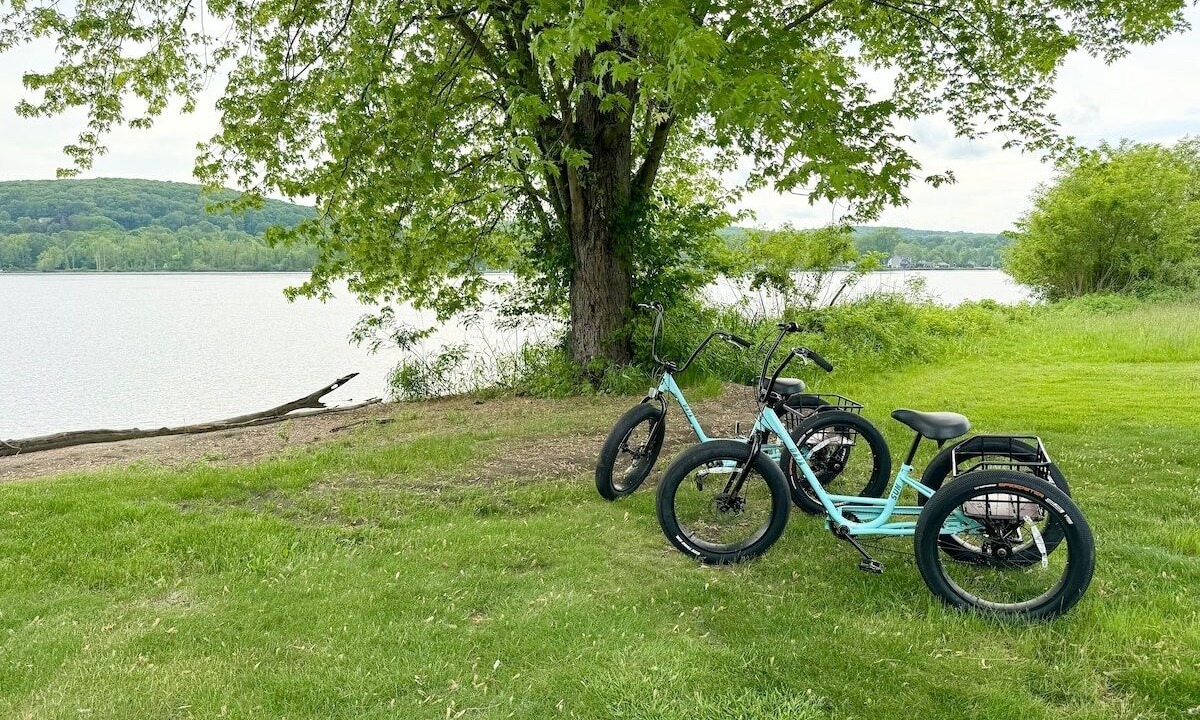 Photo of Others in East Shore
