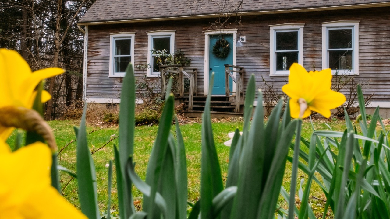 Photo of Outdoor in Moretown
