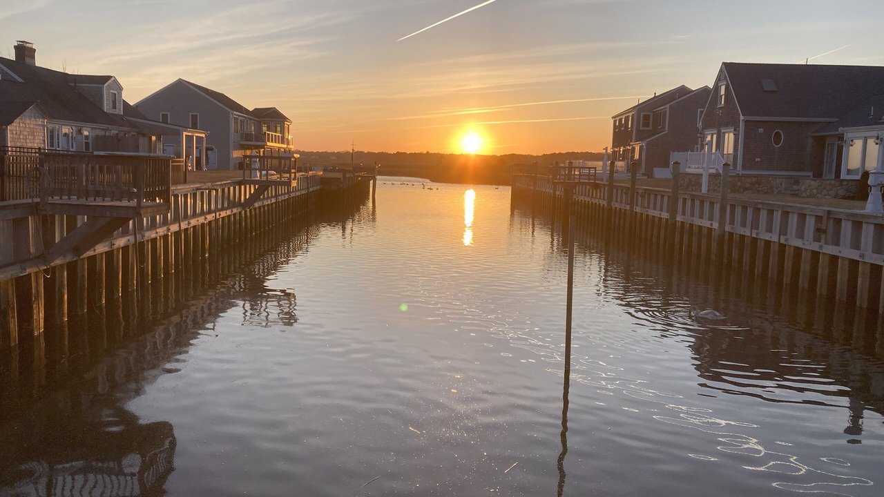 Photo of Others in South Yarmouth