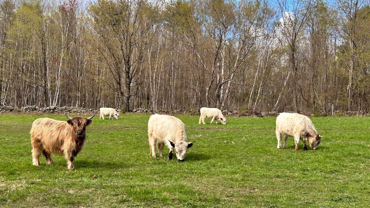 Photo of Others in Gilmanton