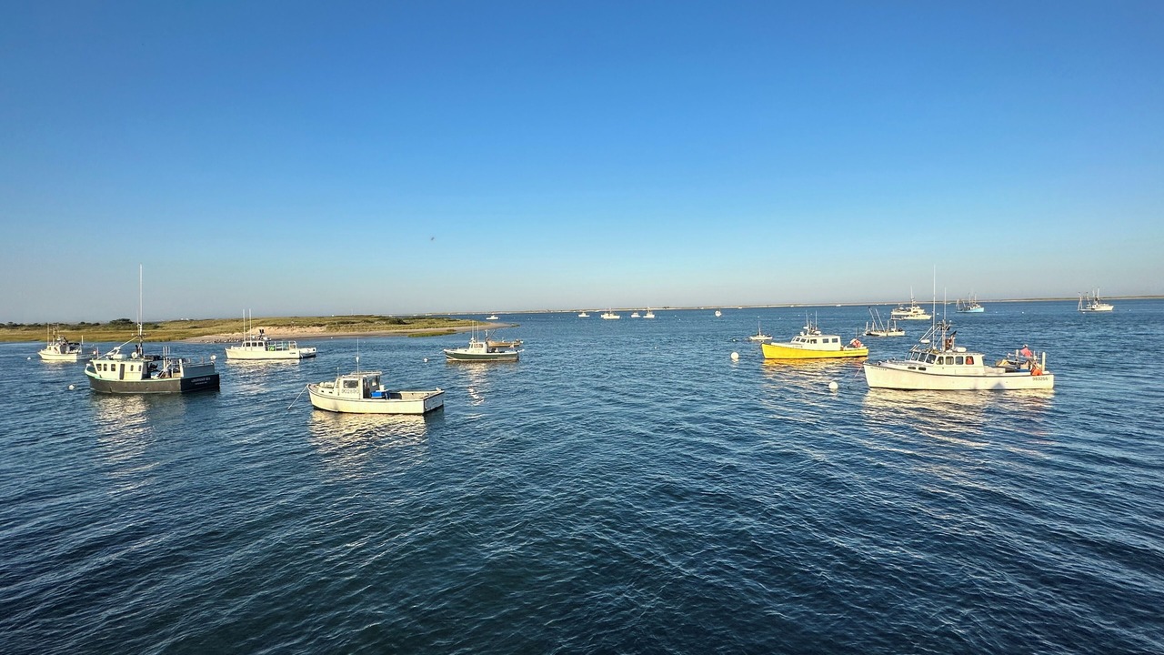 Photo of Others in West Chatham