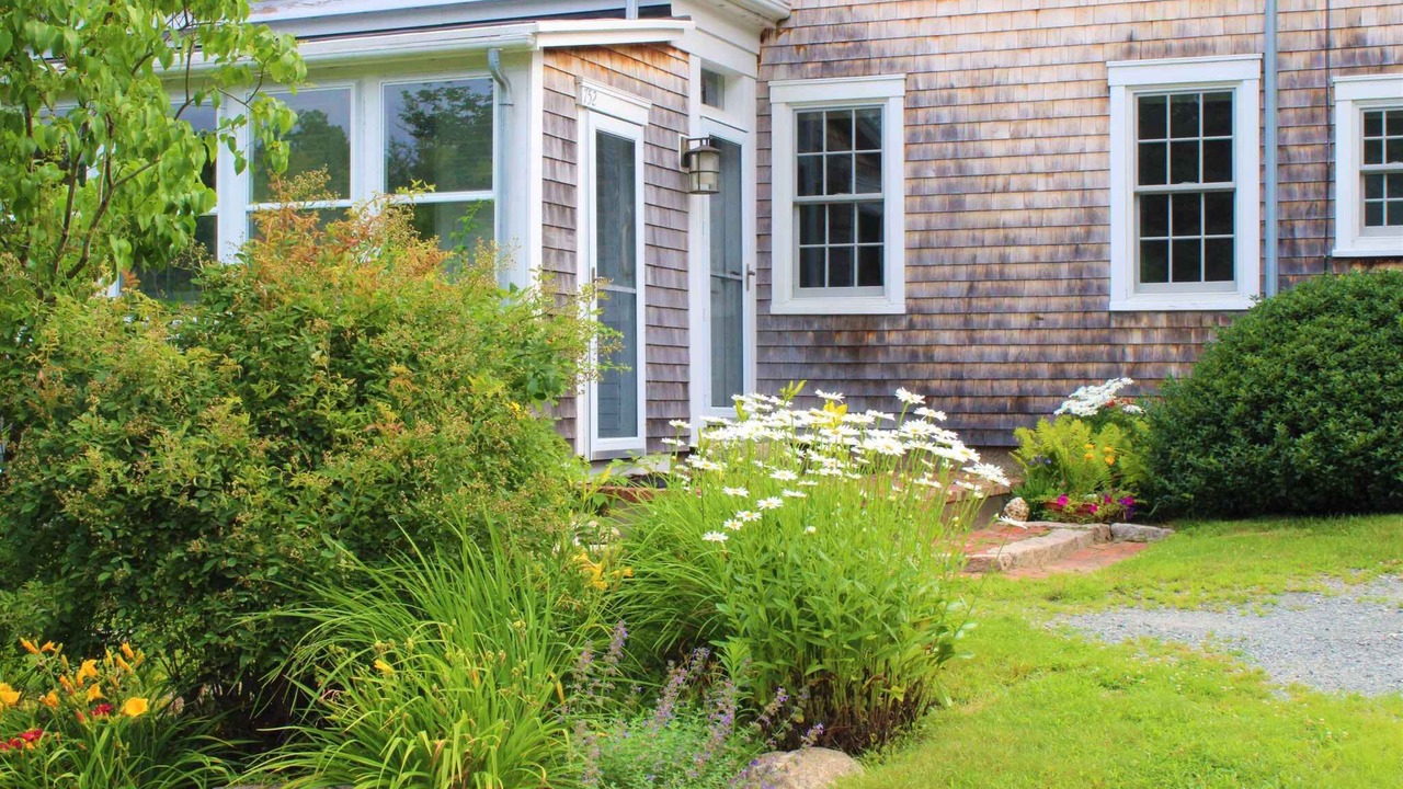 Photo of Outdoor in West Falmouth
