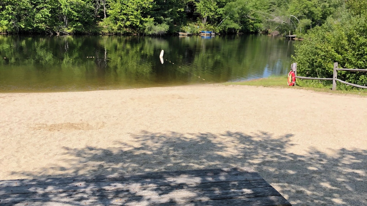 Photo of Outdoor in Sherwood Forest