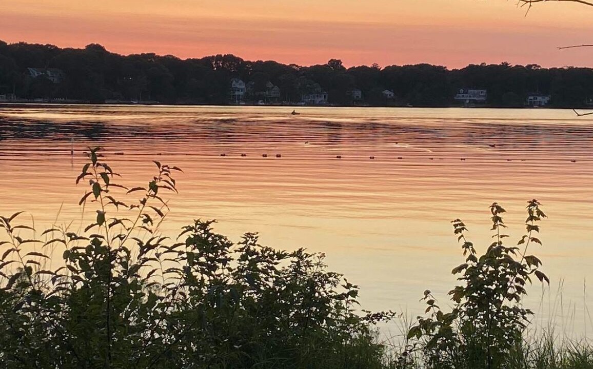 Photo of Others in Mashpee