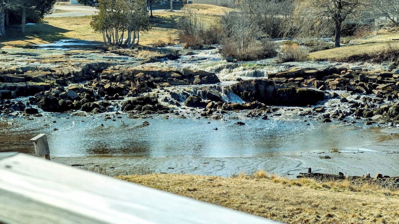 Photo of Others in Prospect Harbor