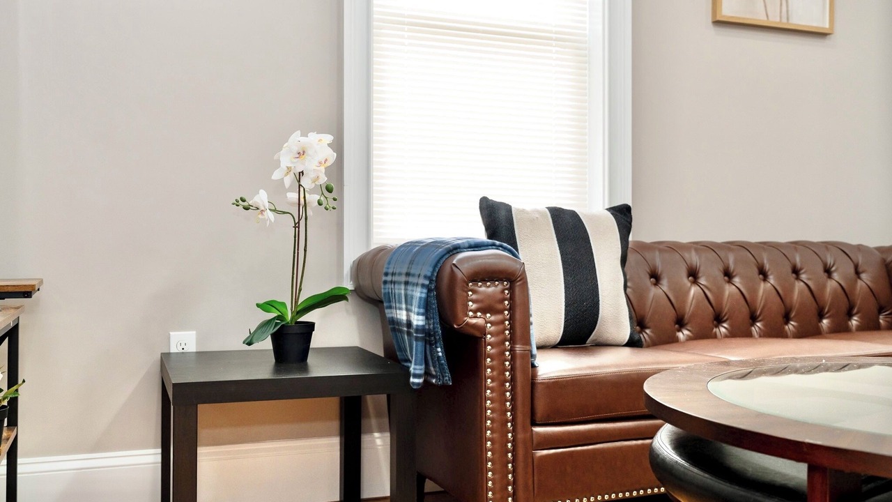 Photo of Livingroom in Codman Square