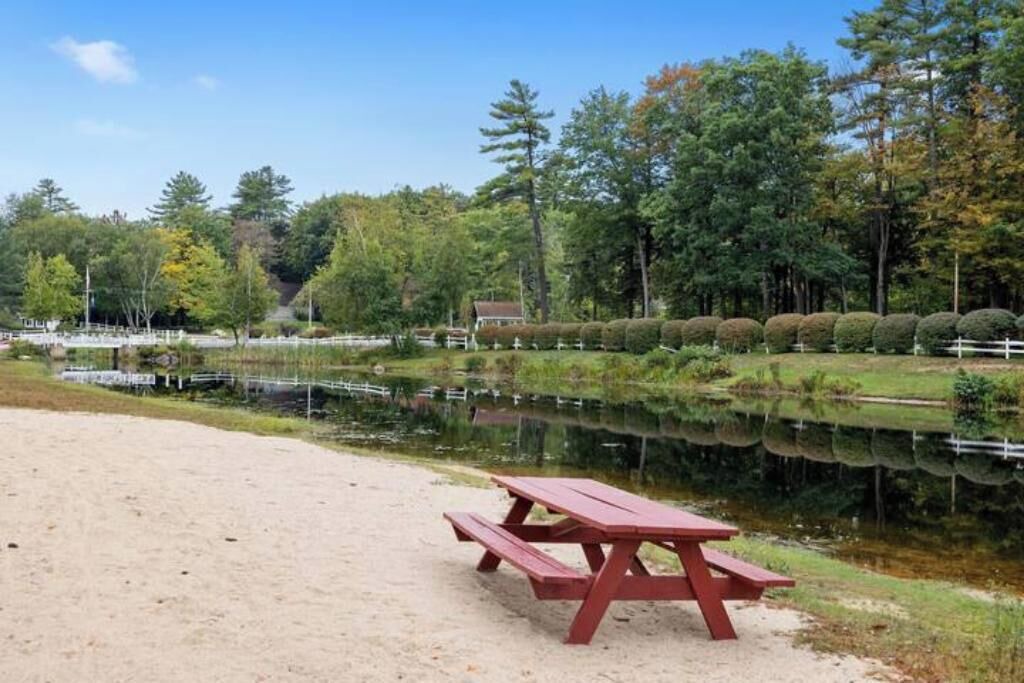 Photo of Outdoor in Moultonborough