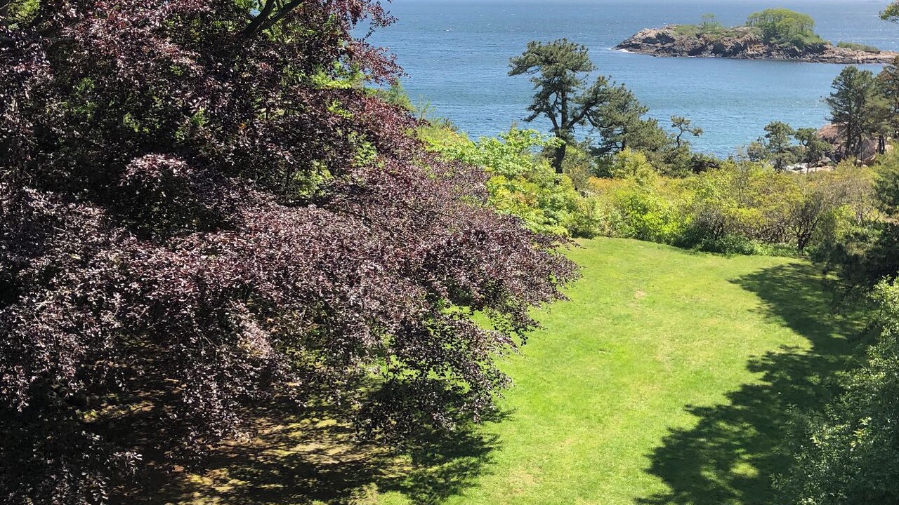 Photo of Others in Manchester-by-the-Sea