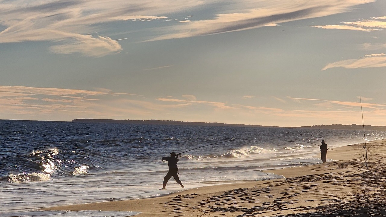 Photo of Others in West Tisbury