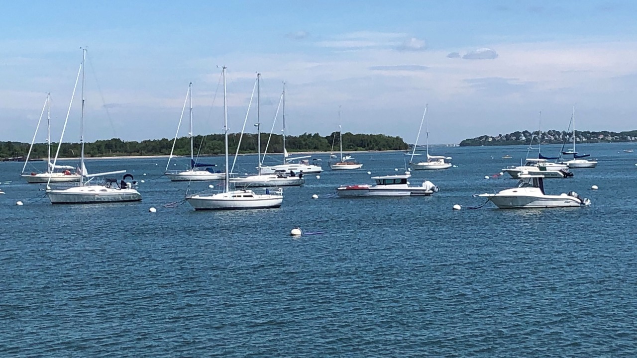 Photo of Others in South Yarmouth