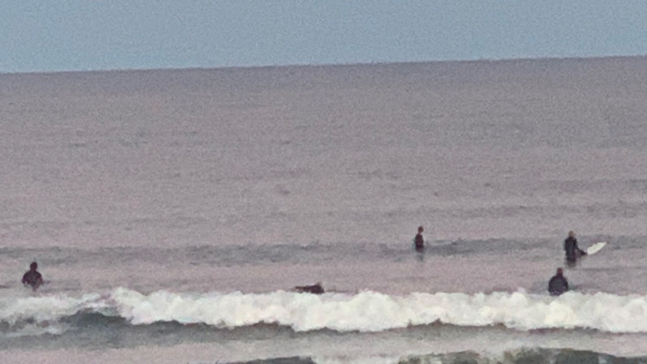 Photo of Others in Hampton