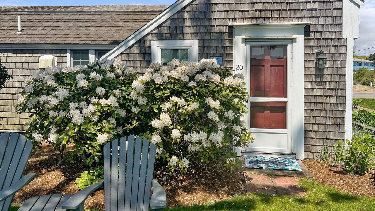 Photo of Others in South Yarmouth