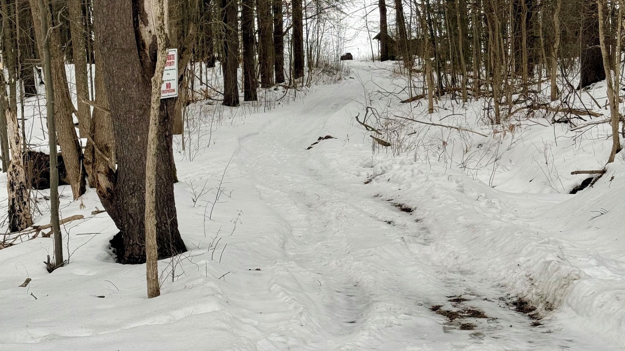 Photo of Outdoor in Hubbardton